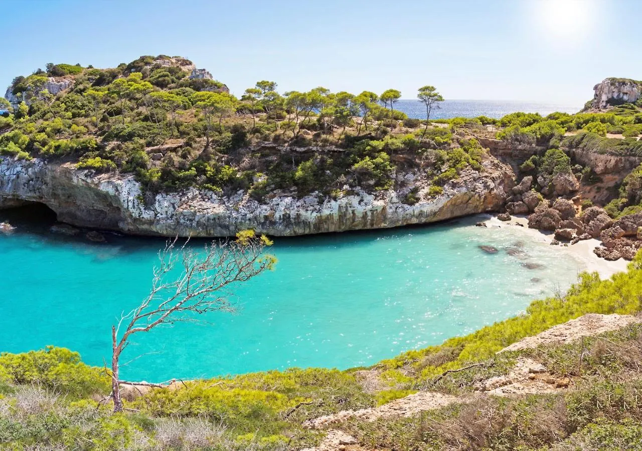Marblau Mallorca كالا فجويرا